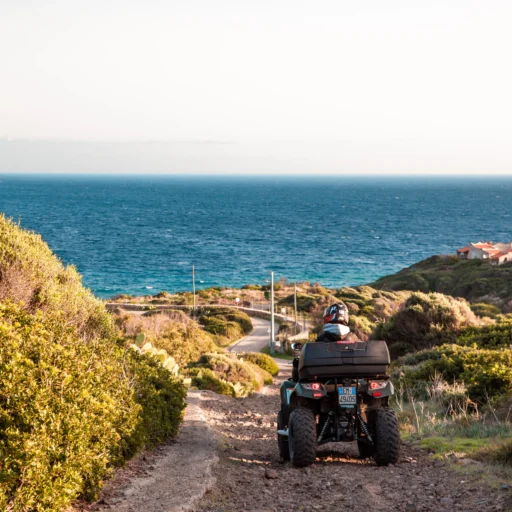 Escursione panoramica sulla costa - immagine 5