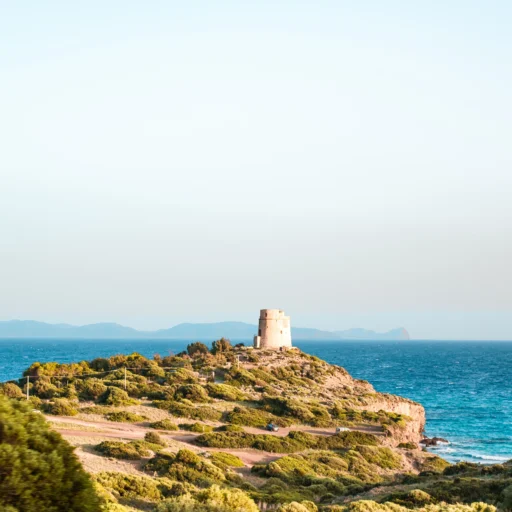 Escursione panoramica sulla costa - immagine 2