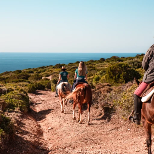 Passeggiata a cavallo + avventura in quad - immagine 7