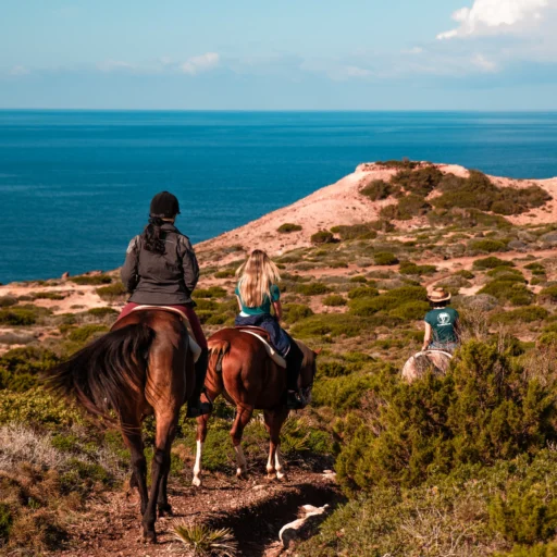 Passeggiata a cavallo + avventura in quad - immagine 9