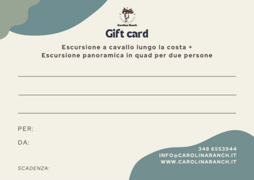 Escursione a cavallo lungo la costa + Escursione panoramica in quad per due persone