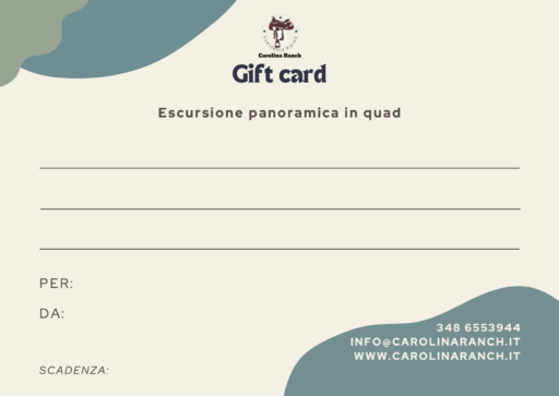 Escursione Panoramica in Quad