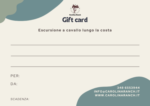 Escursione a cavallo lungo la costa