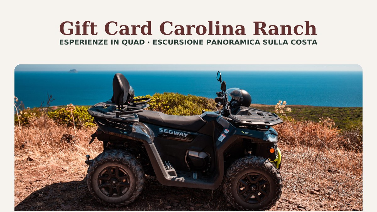 Escursione Panoramica in Quad