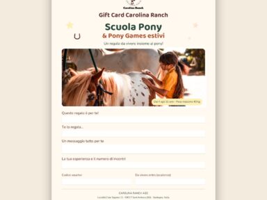 Gift Card Carolina Ranch: Scuola Pony e Pony Games