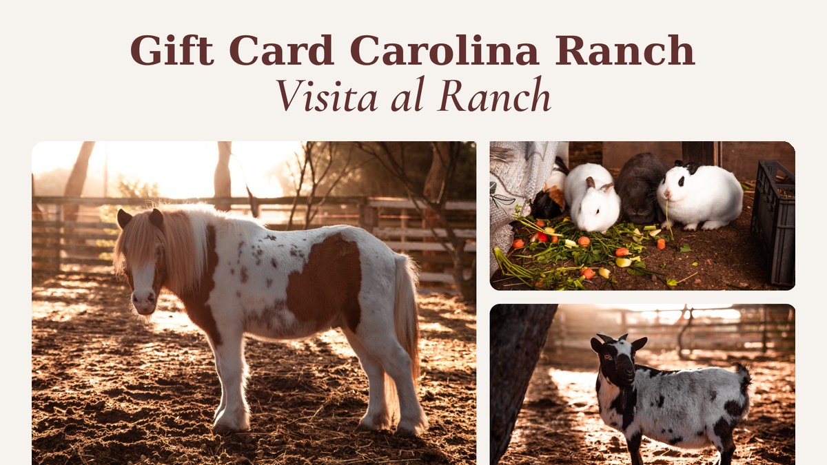 Visita al Ranch